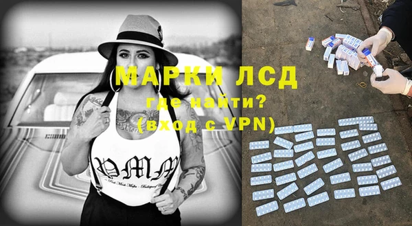 ГАЛЛЮЦИНОГЕННЫЕ ГРИБЫ Аркадак
